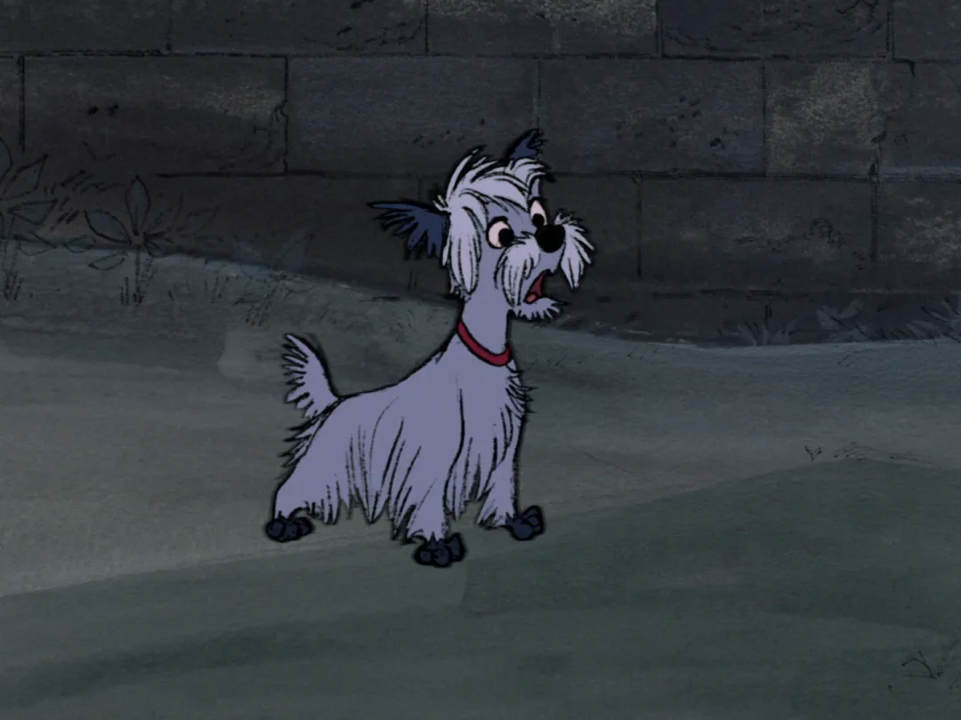 Scottie