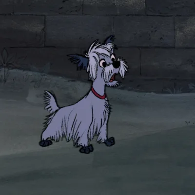 Scottie