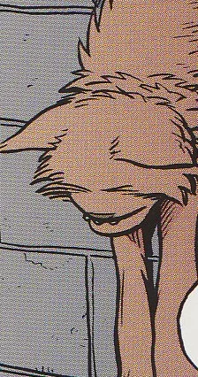 Scratch