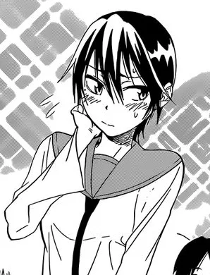 Seishiro Tsugumi