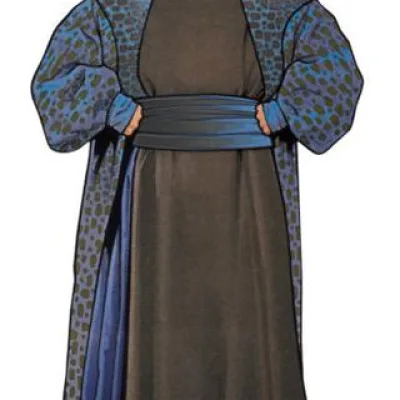 Senator Valorum