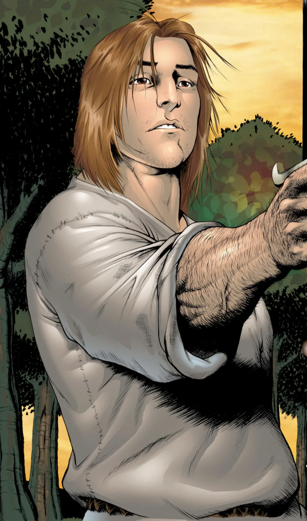 Ser Duncan