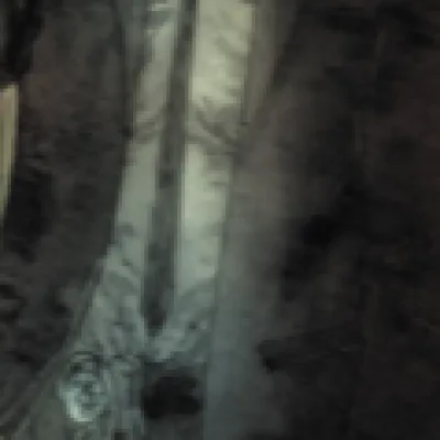 Sergeant Rook