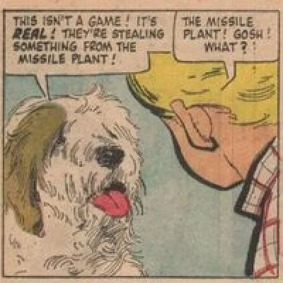 Shaggy Dog