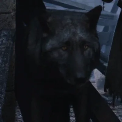 Shaggydog