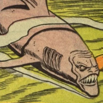 Shark Wilson
