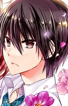 Shigure Kitami