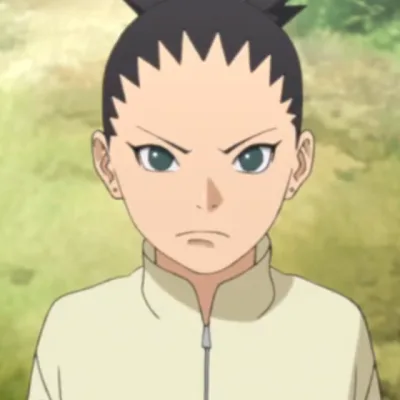 Shikadai Nara