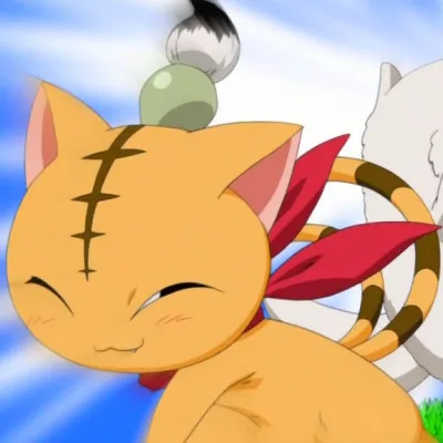 Shimatora