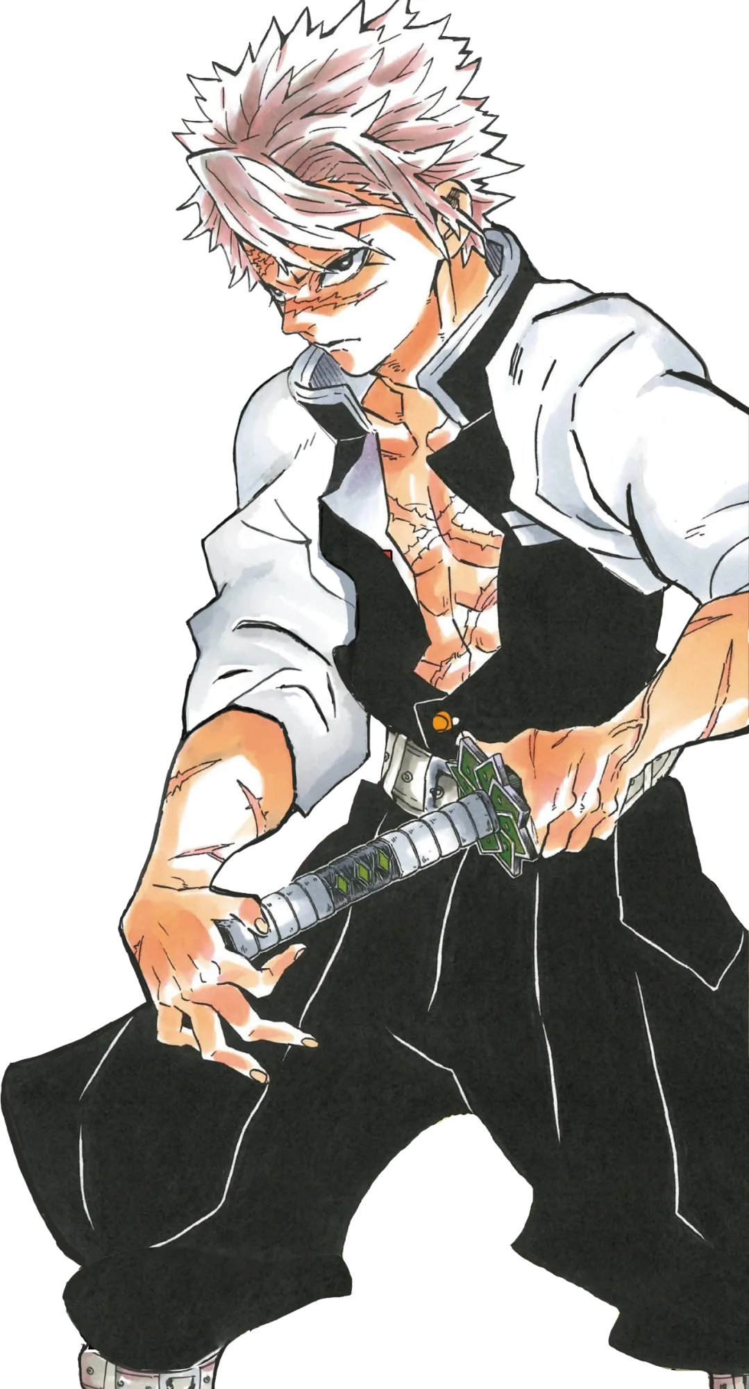 Shinazugawa Sanemi