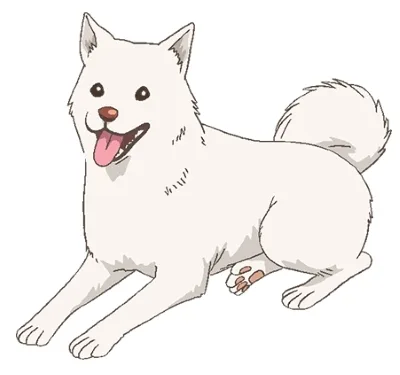 Shiro