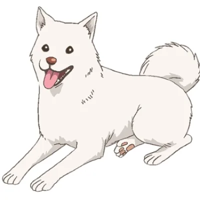 Shiro