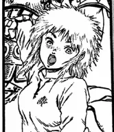 Shisu