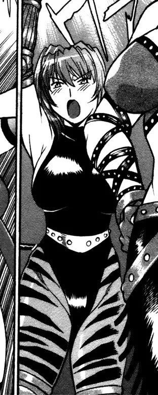 Shouhei Cobra