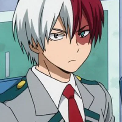 Shouto Todoroki