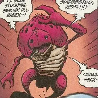 Shrimp