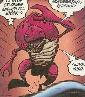 Shrimp