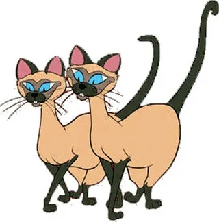 Si & Am