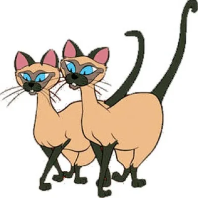 Si & Am