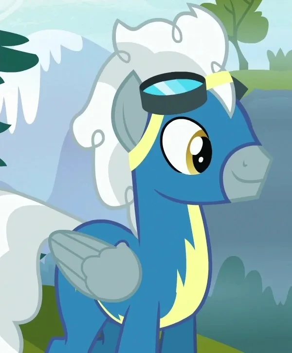 Silver Zoom