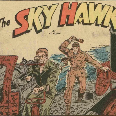Sky Hawk