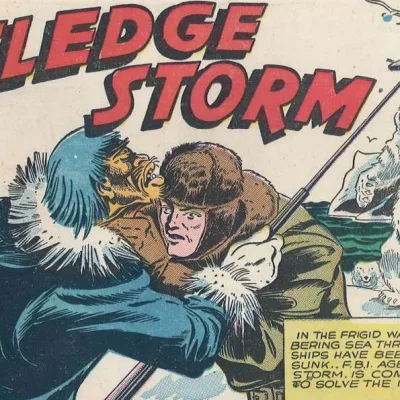 Sledge Storm