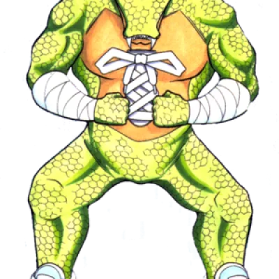 Sneagator