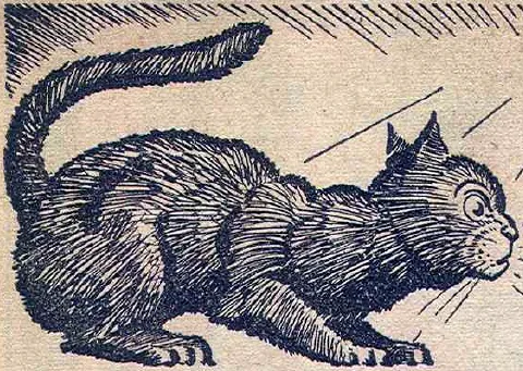 Sooty Solomon