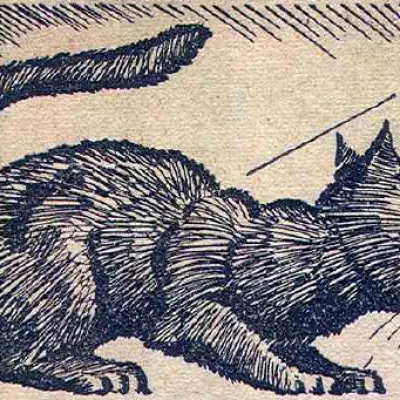 Sooty Solomon