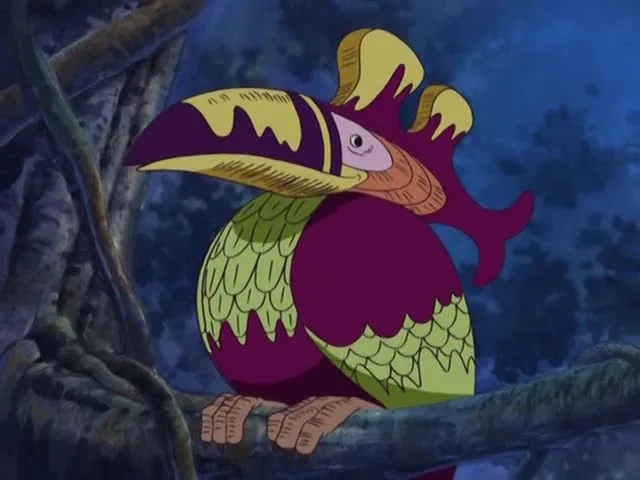 South Bird