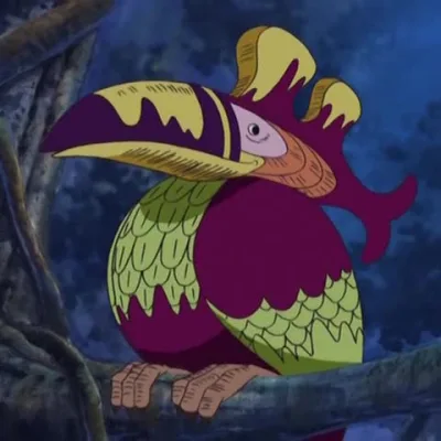 South Bird
