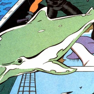 Space Dolphin