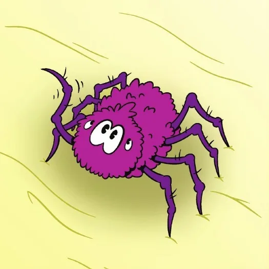 Spider