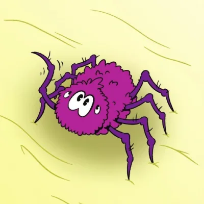Spider