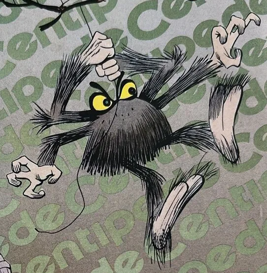 Spider