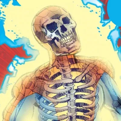 Spider-Skeleton