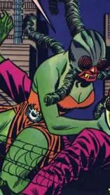 Spider Witch