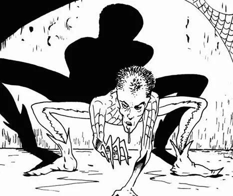 Spiderboy