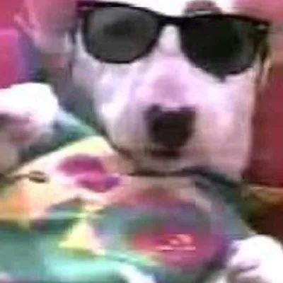 Spuds MacKenzie