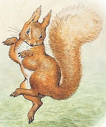 Squirrel Nutkin