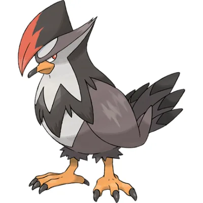 Staraptor