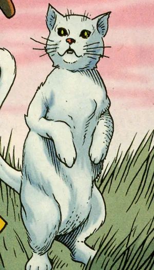 Starro the Cat
