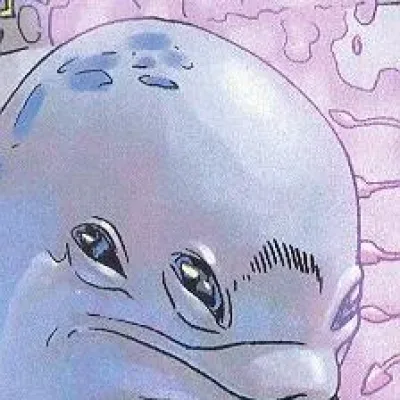 Stessa
