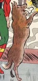 Streak the Wonder Dog