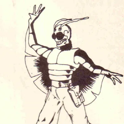 Stunt Fly