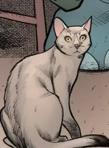 Tabby