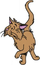 Tabby