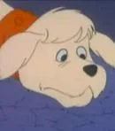 Tagg the Dog