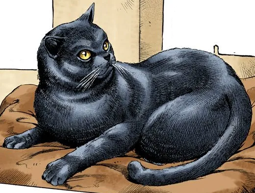 Tama
