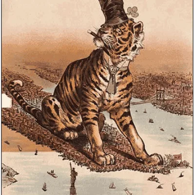 Tammany Tiger